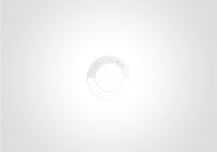 Ide reue n3 :  je mets un prix opportuniste et comme je ne suis pas press, a finira bien par se vendre.  Lvi immo